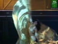 /album/galeria-de-fotos/br-dance-37-jpg/